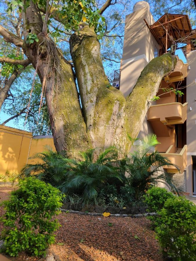 Real Guanacaste Aparthotel San Pedro Sula Exterior photo